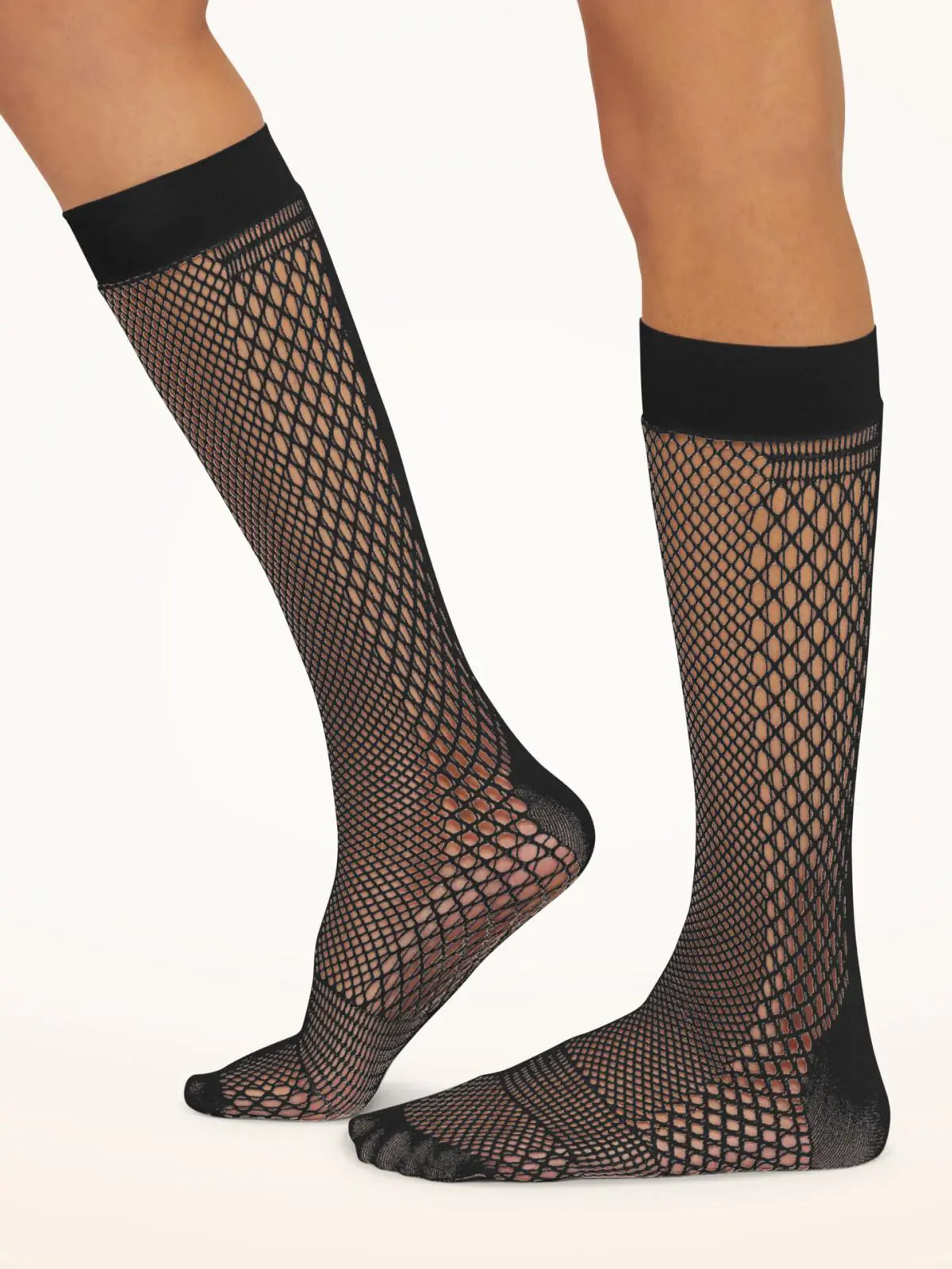 31588_7005_100_001_B_X_B2BL